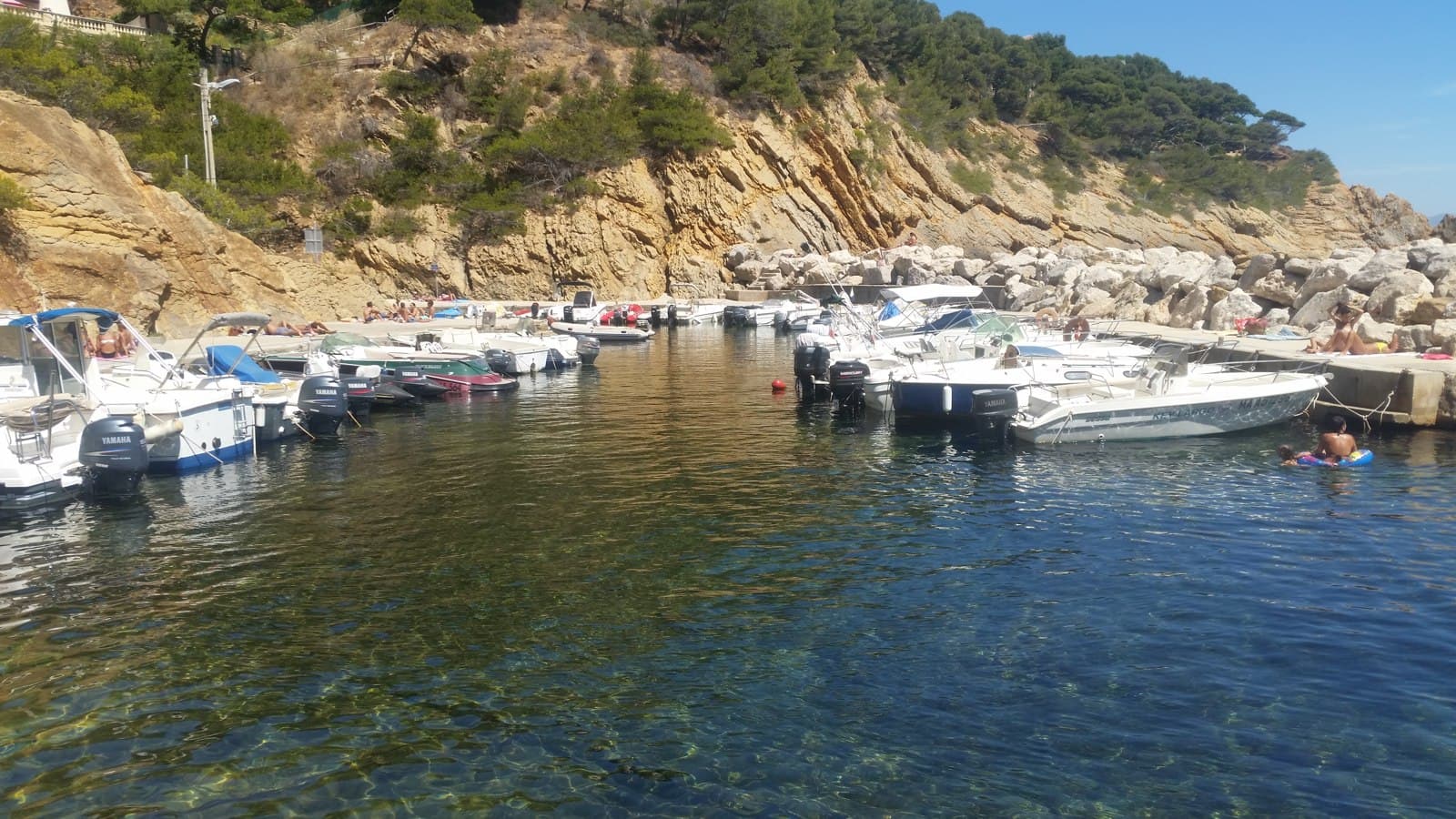 Le port animé, un jour d'été