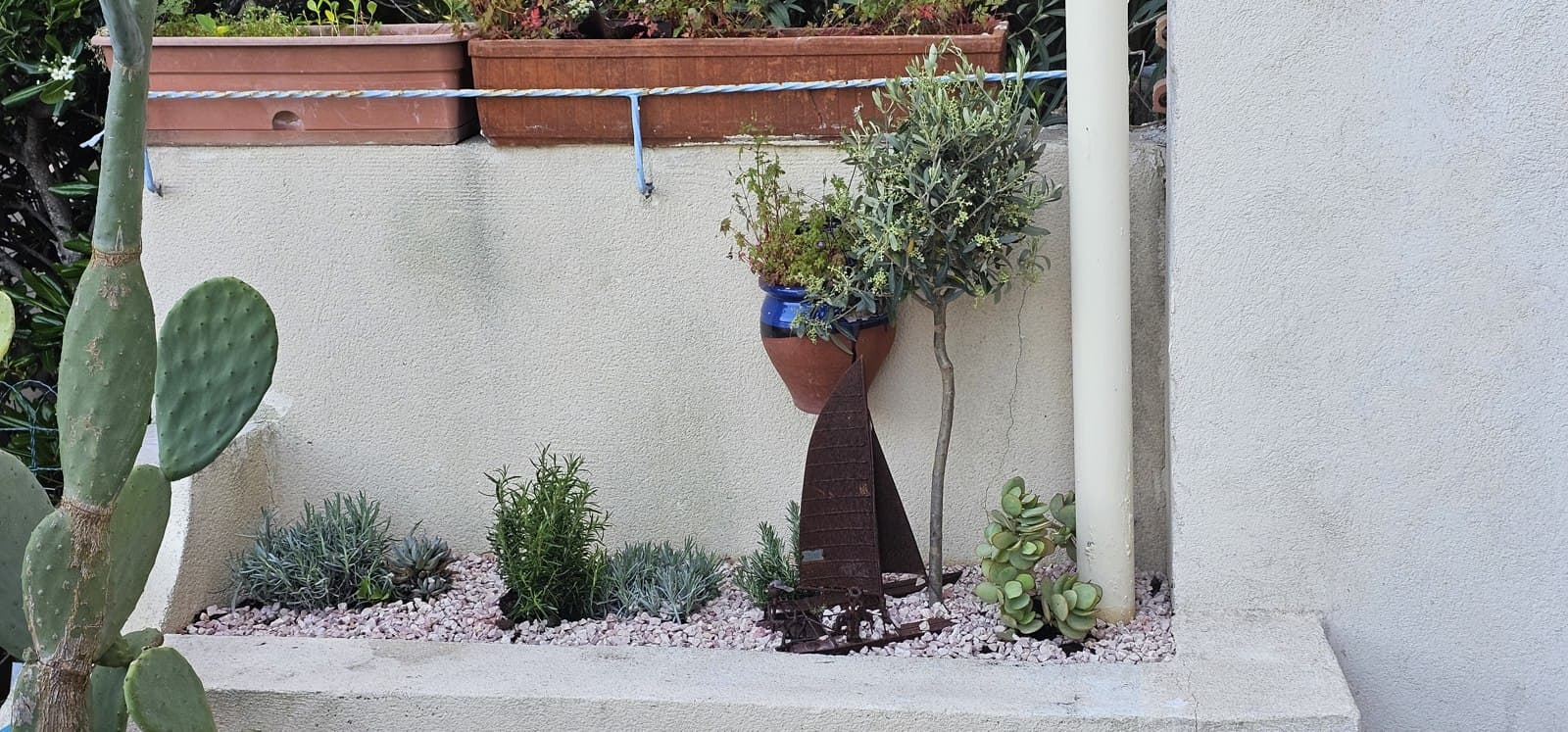 Petit coin de jardin méditerranéen